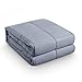 BEASEN Weighted Blanket (15 lbs ,48â€x72â€) For Adult 140-190 lbs Individual,Natural Calm Sleep,Premium Cotton With Hypoallergenic Polyester Padding, Glass Beads,Grey