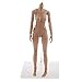 Jili Online 1:6 Display Stand Bracket Support for 12'' Hot Toys Phicen Kumik Figure Toy
