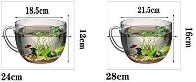 水族館水槽水カップ形水槽生態学的な小さな観賞用水槽造園装飾水族館を開く卓上ガラス水槽 21 5cm B087trtgzn 4 996円 大人気 New Arrival 最安値挑戦 年中無休 高品質 通販