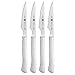 J.A. Henckels 39135-000 ZWILLING Knives Steak Knife Set, 4-piece, Stainless Steel