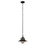 Globe Electric 44166 Liam 1-Light Outdoor/Indoor Pendant, Black, Matte Finish