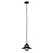 Globe Electric Liam 1-Light Outdoor/Indoor Pendant, Black, Matte Finish,44166, Bulb Not Included