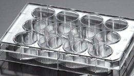 EarthOx Sterile Tissue Culture Plate 12 Well -Non Treated (4 Plates)