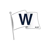 Chicago Cubs Collector Pin Jewelry Card
