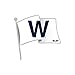 Chicago Cubs Collector Pin Jewelry Card