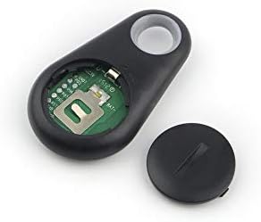 inseguitore per cani da compagnia