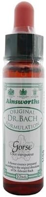 Ainsworths 10ml Beech Bach Flower Remedy by Ainsworth