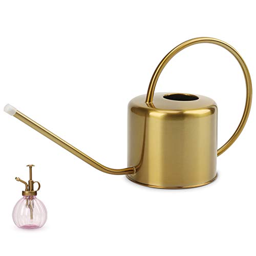 Remiawy Stainless Steel Watering Can