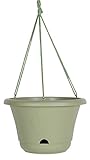 Bloem Lucca Self Watering Hanging Basket, 13