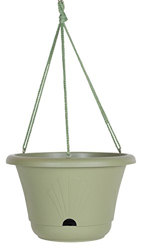 Bloem Lucca Self Watering Hanging Basket, 13
