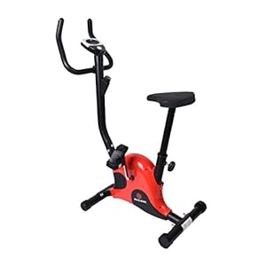 Endless EL001-01 4Kg Flywheel Upright Bike/Exercise Bike for Home Gym (Red/Black)