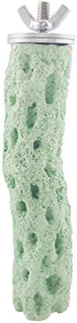 Purple Star Sanded Nail Trimming Parrot Perch Cholla Cactus Bird Perch, Small