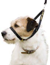 Canny Dog Collar, Stop Dogs Pulling, Black Size 7