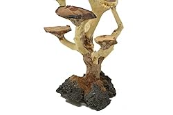Bonsai Driftwood Aquarium Tree AWM Random Pick