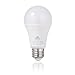 LED Daylight Bulbs 75-100 Watt Equivalent, 12W A19 LED Bulbs, Cool White 6500K, E26 Socket, Not Dimmable, Pack of 6