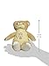 Healthy Baby Asthma and Allergy Buddy Bear Stuffed Animal, 9.5