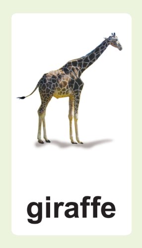 Animal Flash Cards with Fun Facts with Spanish and French Translations for each Animal By Flash of Brilliance