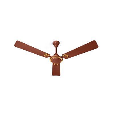 Buy Csd Ceiling Fan 48 Ornate Brown Online At Low Prices In India
