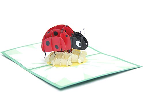 Ladybug 3D Paper Pop-up Greeting Card Holiday Gift