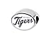 Tigers 2-Sided Bead Fits Compatible With Pandora Style Bracelets Charm Bead Fits Pandora Style Bracelets