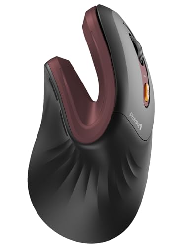 ProtoArc EM11 NL Kabellos Bluetooth5.0 Ergonomische Vertikale Maus