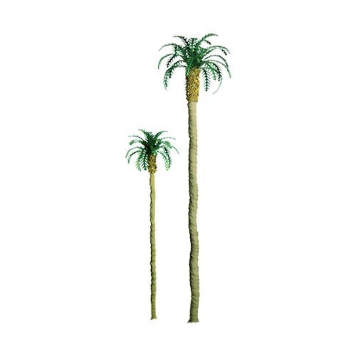 Professional Series: Palm