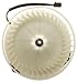 TYC 700070 Dodge/Plymouth/Chrysler Replacement Front Blower Assembly