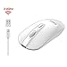 cimetech Rechargeable Wireless Mouse for Laptop, 2.4G Computer Mouse Cordless Optical Mice, Slim Quiet Wireless Mouse with USB Nano Receiver, 5 Adjustable DPI 2400/2000/1600/1200/800 (White&Sliver)