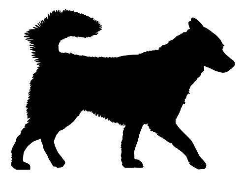SIBERIAN HUSKY 5" x 3.5" Vinyl Decal Sticker - Alaskan Malamute Spitz Dog - - IVORY