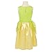 Disney Princess Heart Strong Tiana Dress