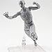 Abbony Body Kun DX Set Male Gray Color Variable Doll PVC Figure Model SHF S H Figuarts