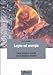 Legno ed energia. Come produrre energie con le biomasse legnose