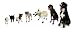 Pawz Dog Boots XXS - Black  12 pack