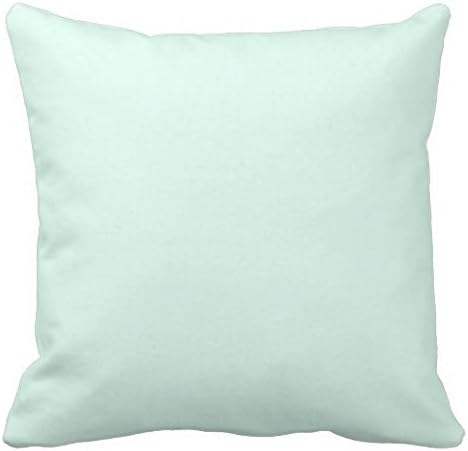 Custom Solid Light Mint Green Color Outdoor Pillow