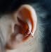 113) Criss Cross Ear Cuff, No Piercing Earring, Ear Jackets - Rose Gold filled, rose gold plated