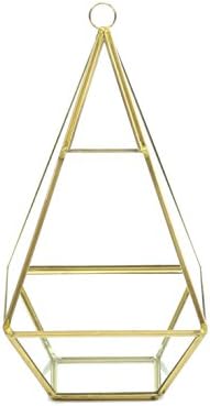 Gold Geometric Glass Terrarium Containers for Air Plants Succulents Fern Moss Miniature Garden House Plants - Modern Home Decor Balcony Planter Vase DIY Display Centerpiece 9.5 x 5 Inches