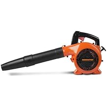 leaf blowers amazon prime