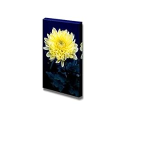 Canvas Prints Wall Art - Close Up of Yellow Chrysanthemum | Modern Wall Decor/Home Decoration Stretched Gallery Canvas Wrap Giclee Print & Ready to Hang - 18" x 12"