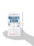 Front cover for the book The Mullah's Storm by Thomas W. Young