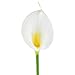 20pcs Calla Lily Bridal Wedding Bouquet Head Latex Real Touch Flower White Flower with Yellow Core