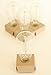Edison Bulb Pack of 4 by Fraser - ST58 Vintage Style Clear Bulbs - Dimmable
