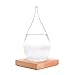 Hotbest Stylish Creative Desktop Water Drop Decorative Bottle, Weather Forecast Storm Glass Weather Station-Large