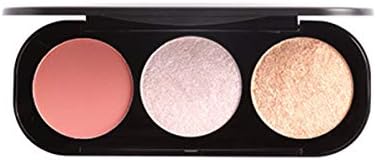 blush on highlighter focallure
