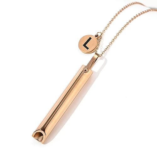 Komuso Necklace The Shift Necklace Amazon Quit Smoking Reviews