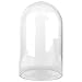 CYS EXCEL Glass Dome, Showcase Piece Decorative Display Case, Cloche Bell Jar Terrarium, 14