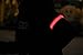 2 Pack, BSeen (TM) Glow LED Armband, Glow and Flash, High Visibility in the Dark for the safety of Runners, Joggers, Pet Owners, Cyclists