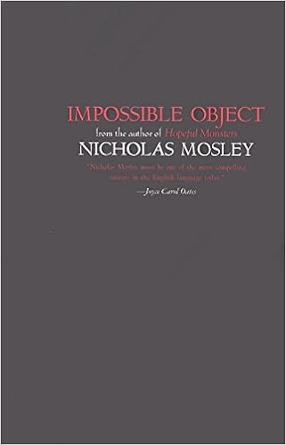 Impossible Object British Literature Series Mosley Nicholas 9781564784650 Amazon Com Books