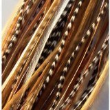 Feather Hair Extension Beautiful Natural Remix 6