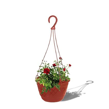 TrustBasket FernHanging Basket (Brown Set of 3)