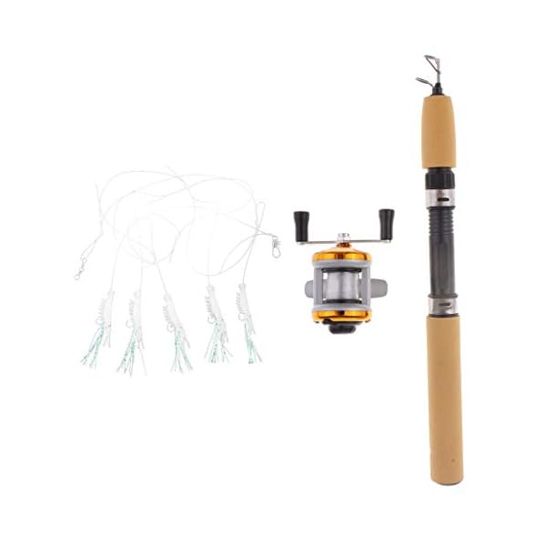 Perfeclan Packung mit 2 Micro Telescopic Ice Angelrute mit Baitcasting Reel Travel Rod 75cm – Bild 5